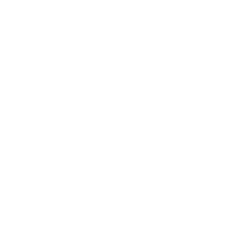 Goal Icon