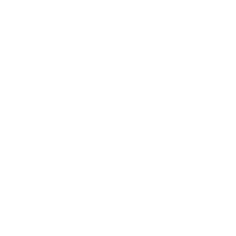Aim Icon