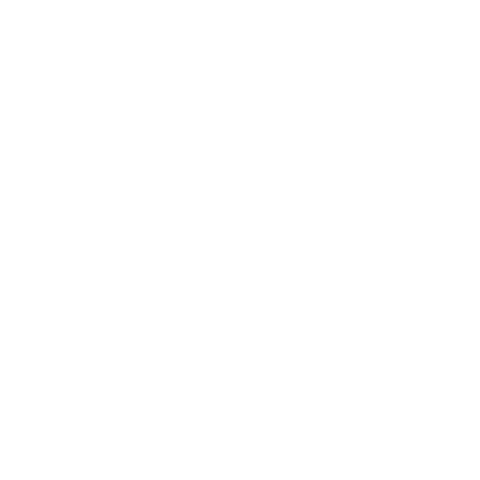 Vision Icon